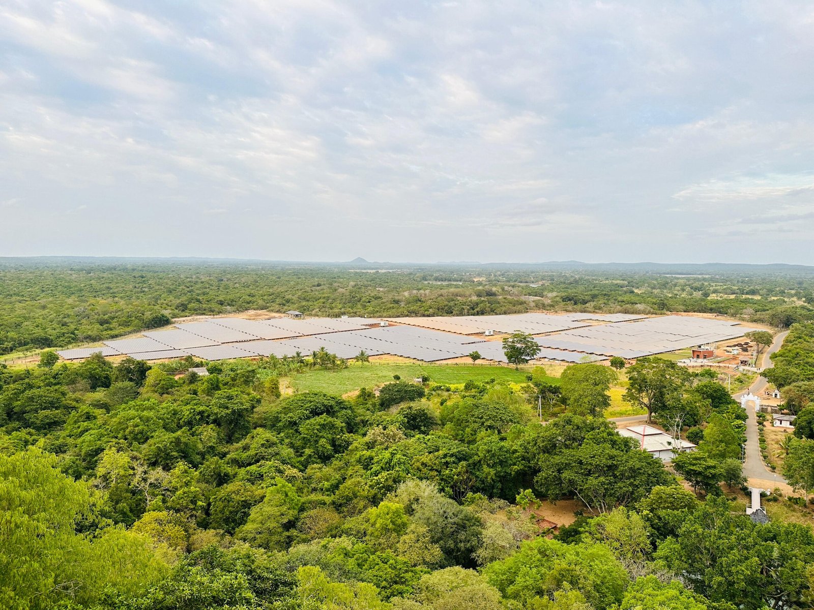 Real-Time Renewable Energy Monitoring: How THINGSNODE Powers WindForce’s 10MW Solar Plant
